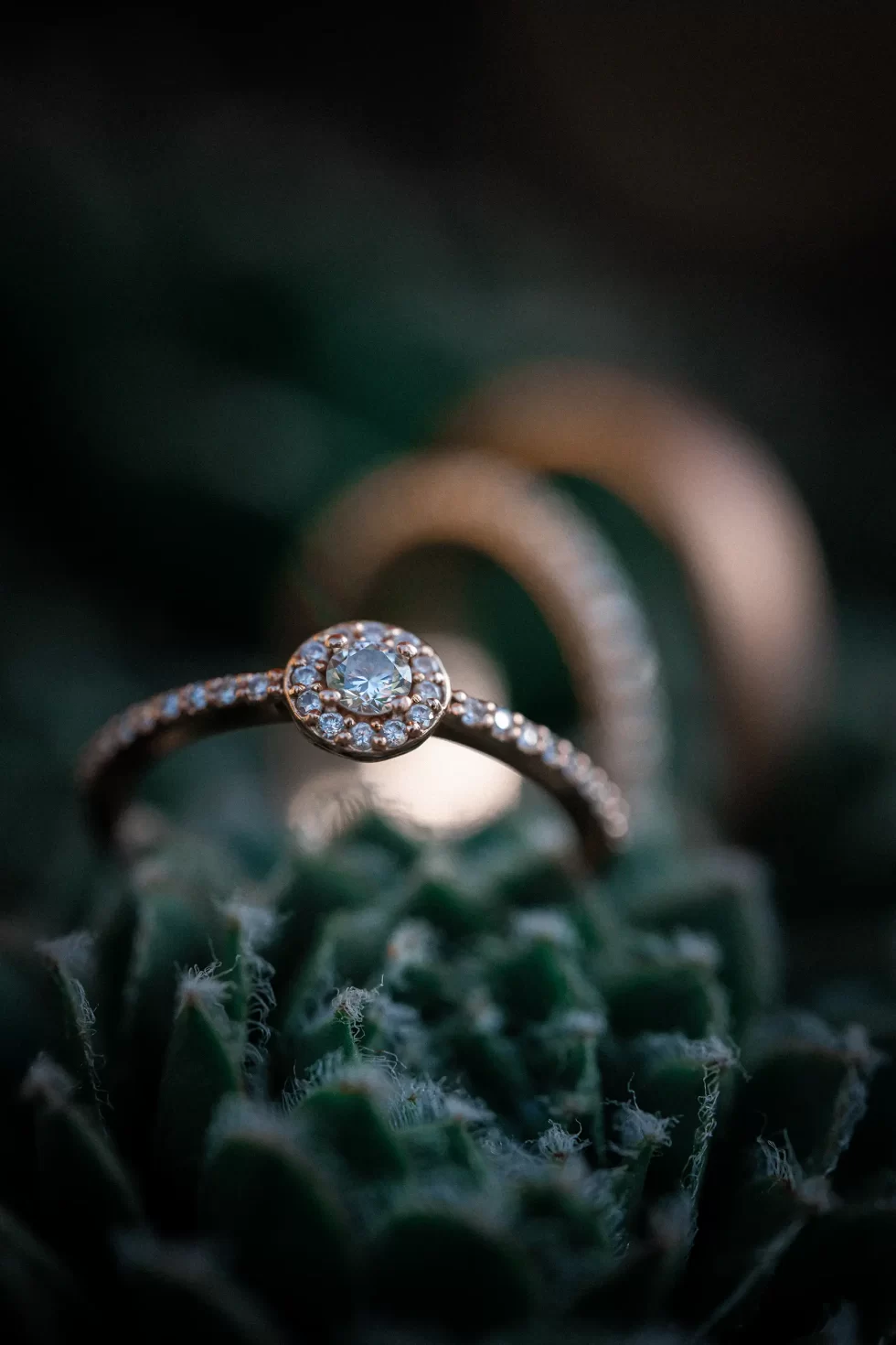 svatba golf resort olomouc sm