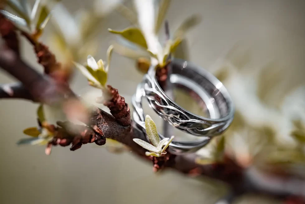 svatba kocanda kravsko PS