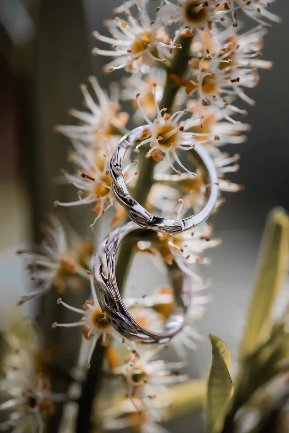 svatba kocanda kravsko PS