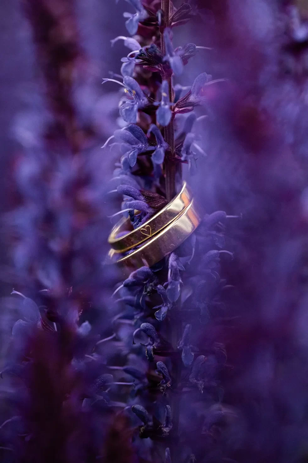 svatba na rybniku eliska david