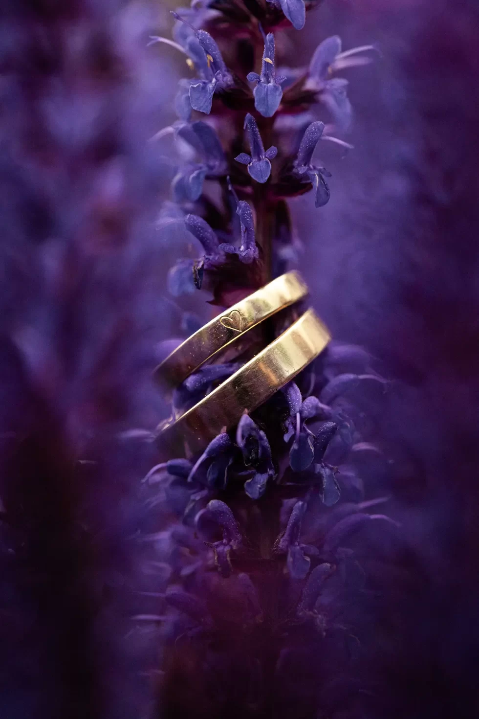 svatba na rybniku eliska david