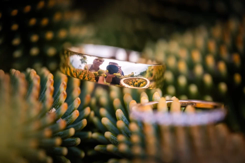 svatba vinarstvi spielberg jk