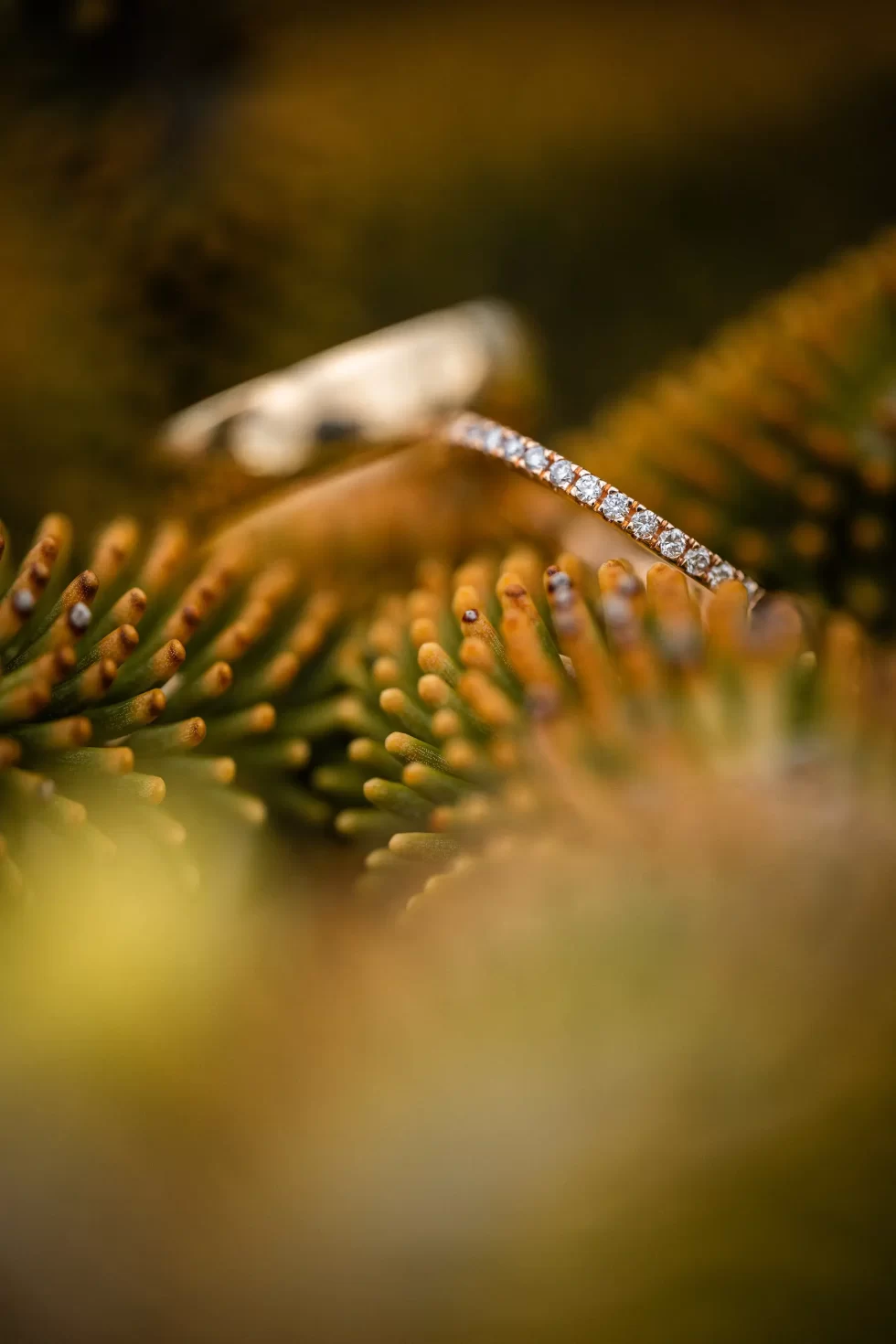 svatba vinarstvi spielberg jk