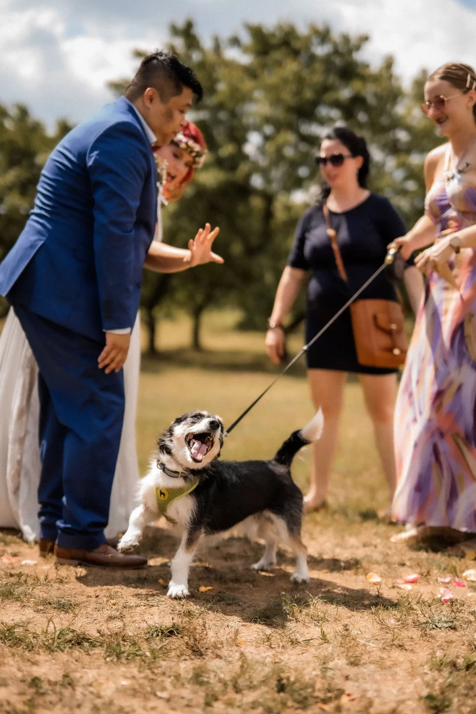 svatba v merunkovem sadu ML